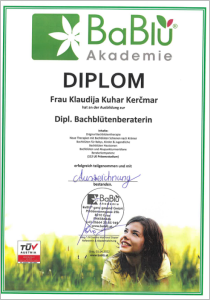 BaBlu Akademie - Diploma